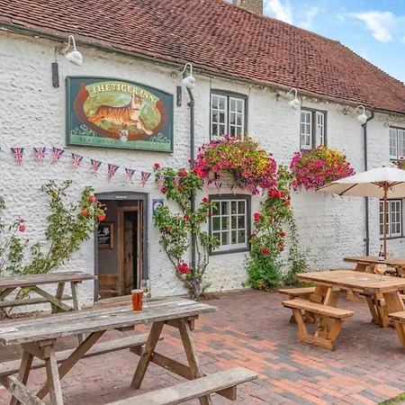 Tiger Inn - Catherine-3